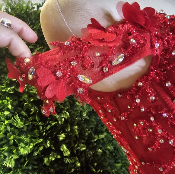 Ladivine by Cinderella dress, size medium, used once - Picture 5 of 13